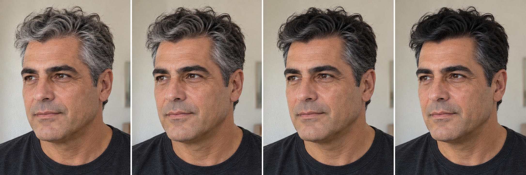 Illustrative colour progression in four stages, Black.